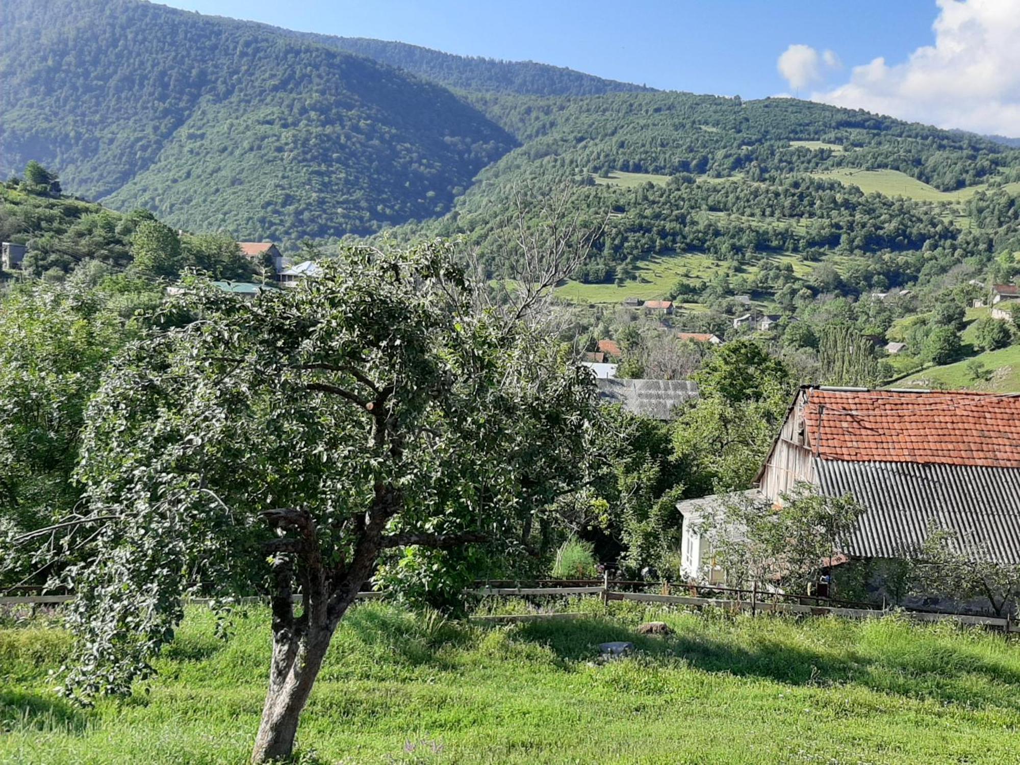 Chamich Guesthouse Debed Екстериор снимка